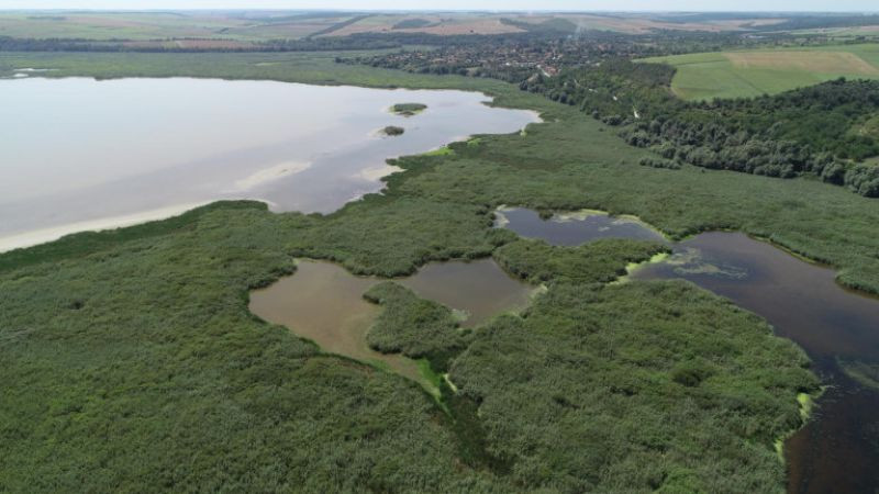 МОСВ: Нивото на езерото Сребърна се поддържа въпреки критично ниското ниво на Дунав